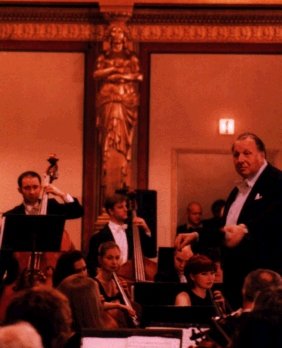 Strau&szlig;-Konzert im Musikvereinssaal